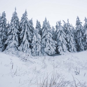 Rando Lac de Guéry fév 2023 by @NataFranceAuvergne-3562